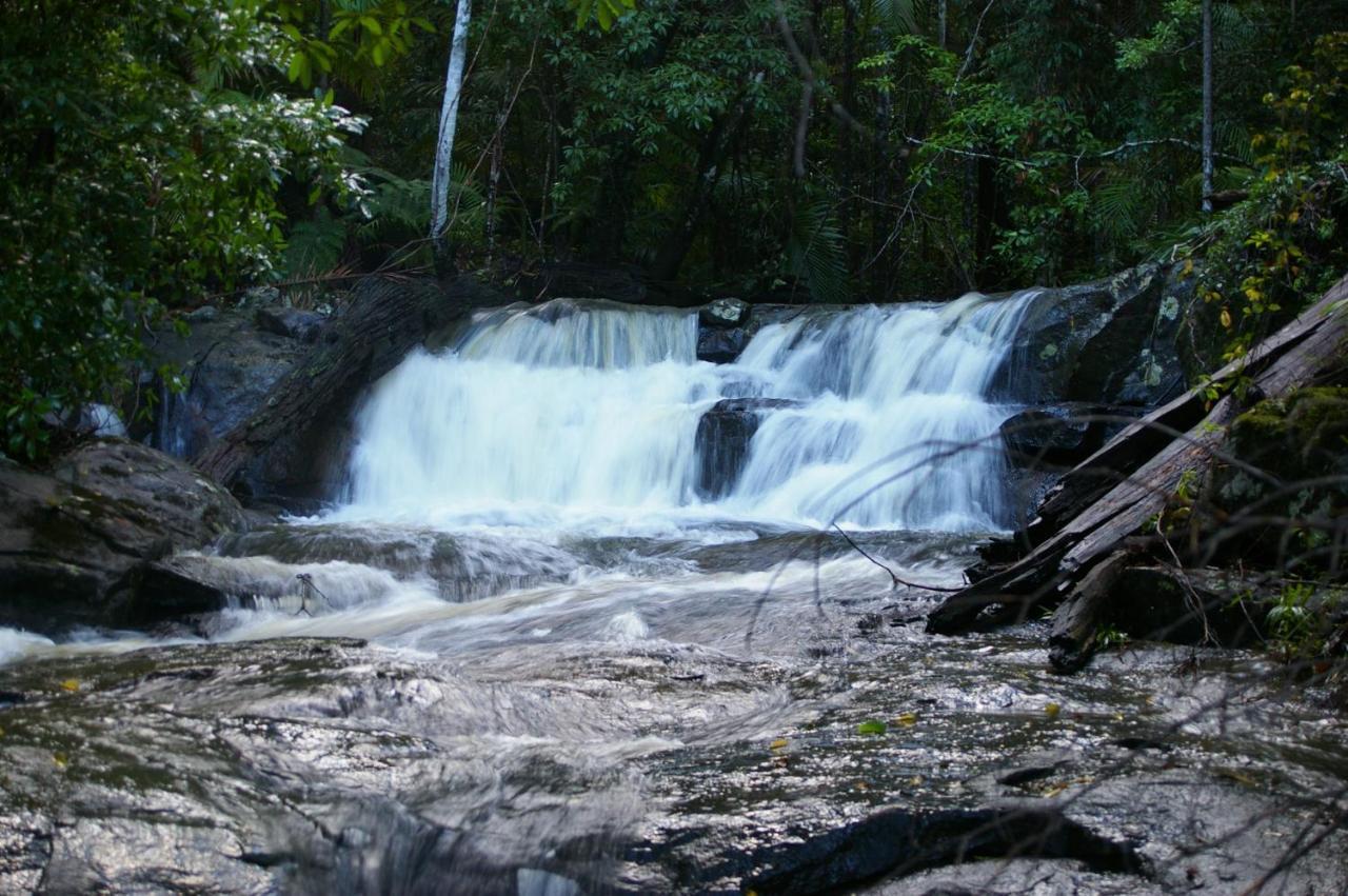 Bellthorpe Stays Maleny Eksteriør billede