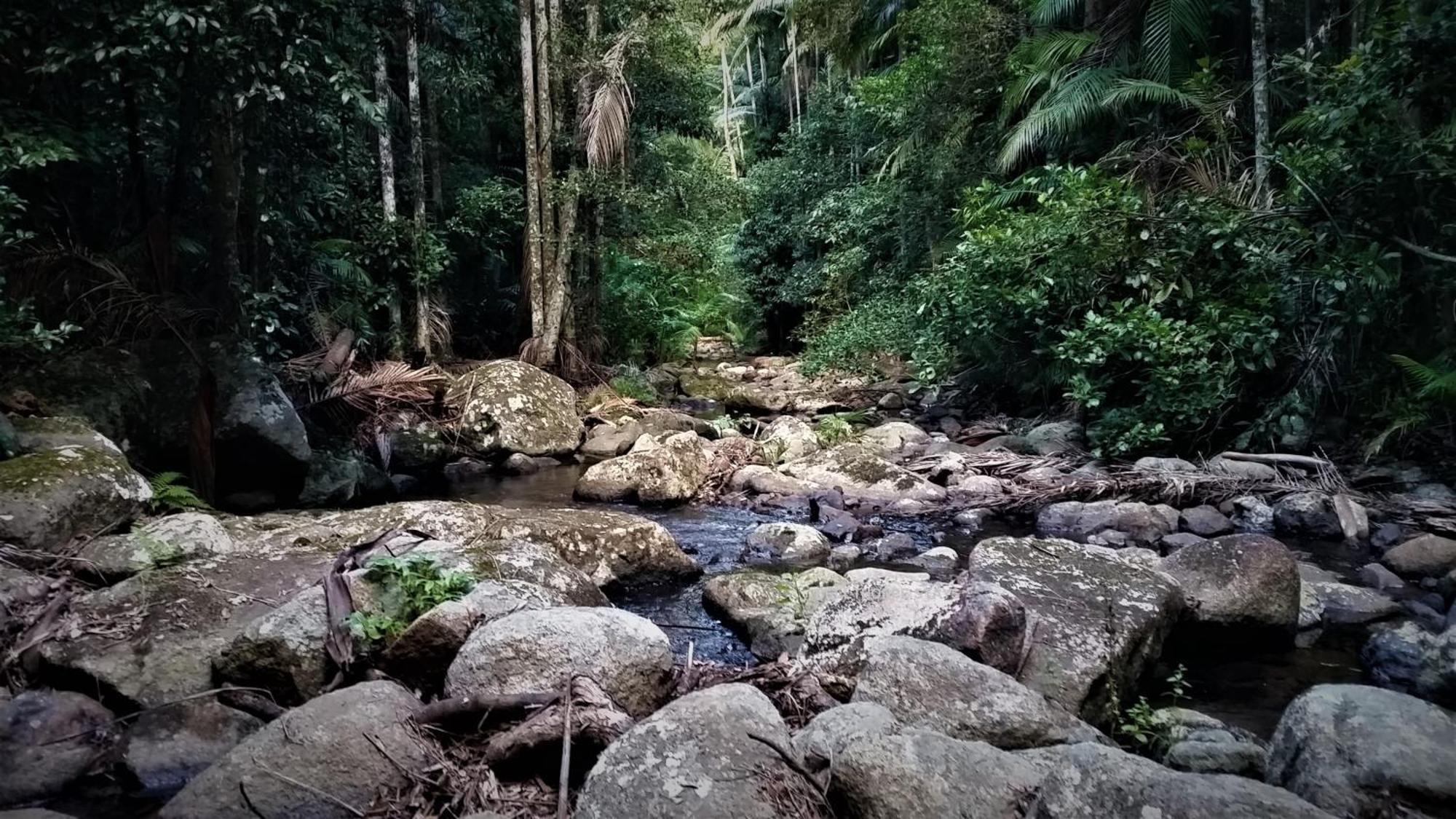 Bellthorpe Stays Maleny Eksteriør billede