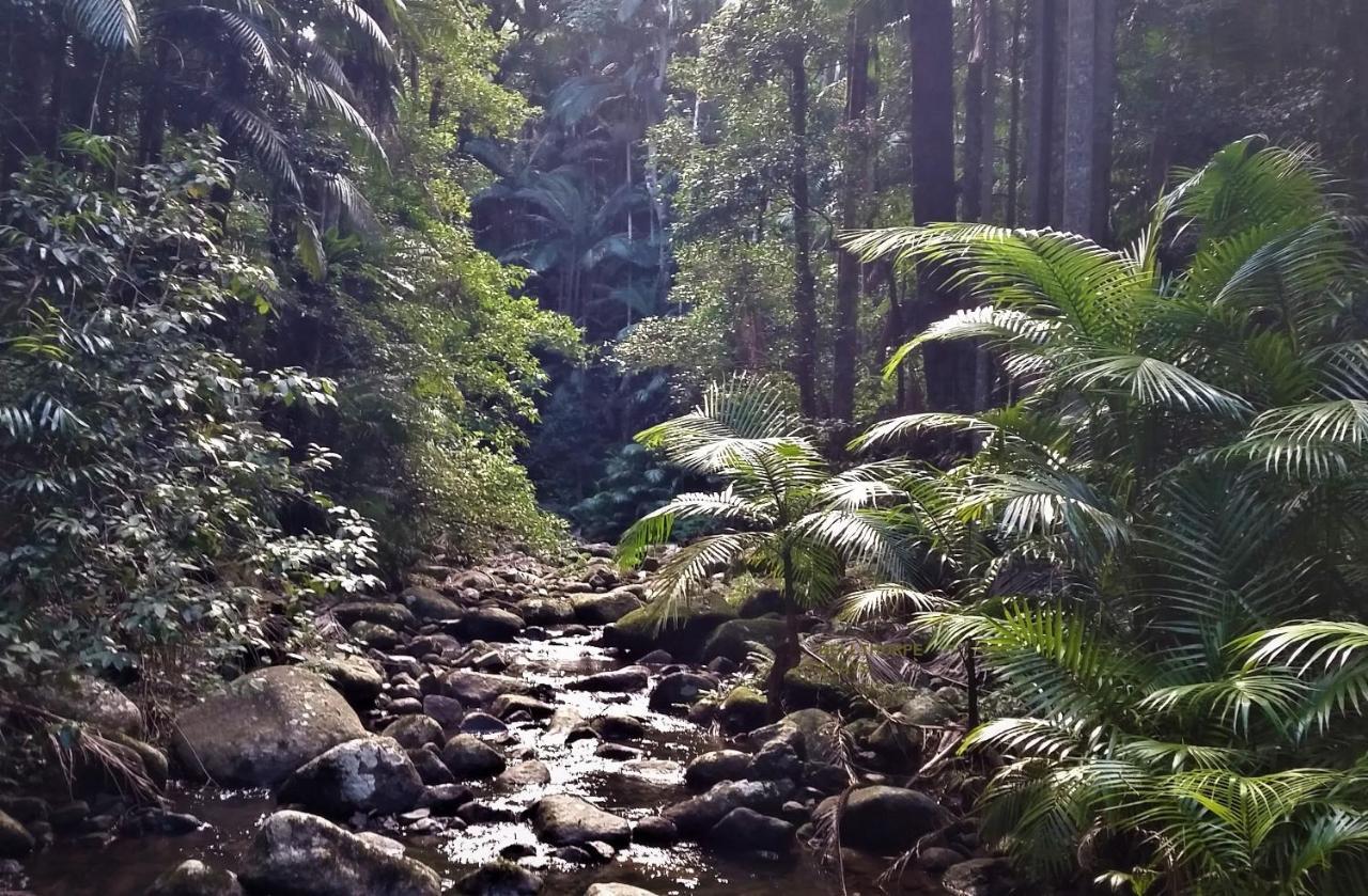Bellthorpe Stays Maleny Eksteriør billede