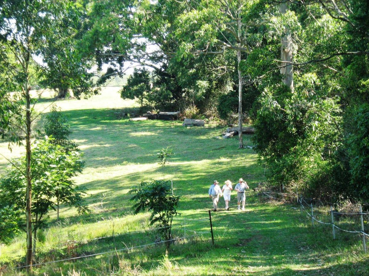 Bellthorpe Stays Maleny Eksteriør billede