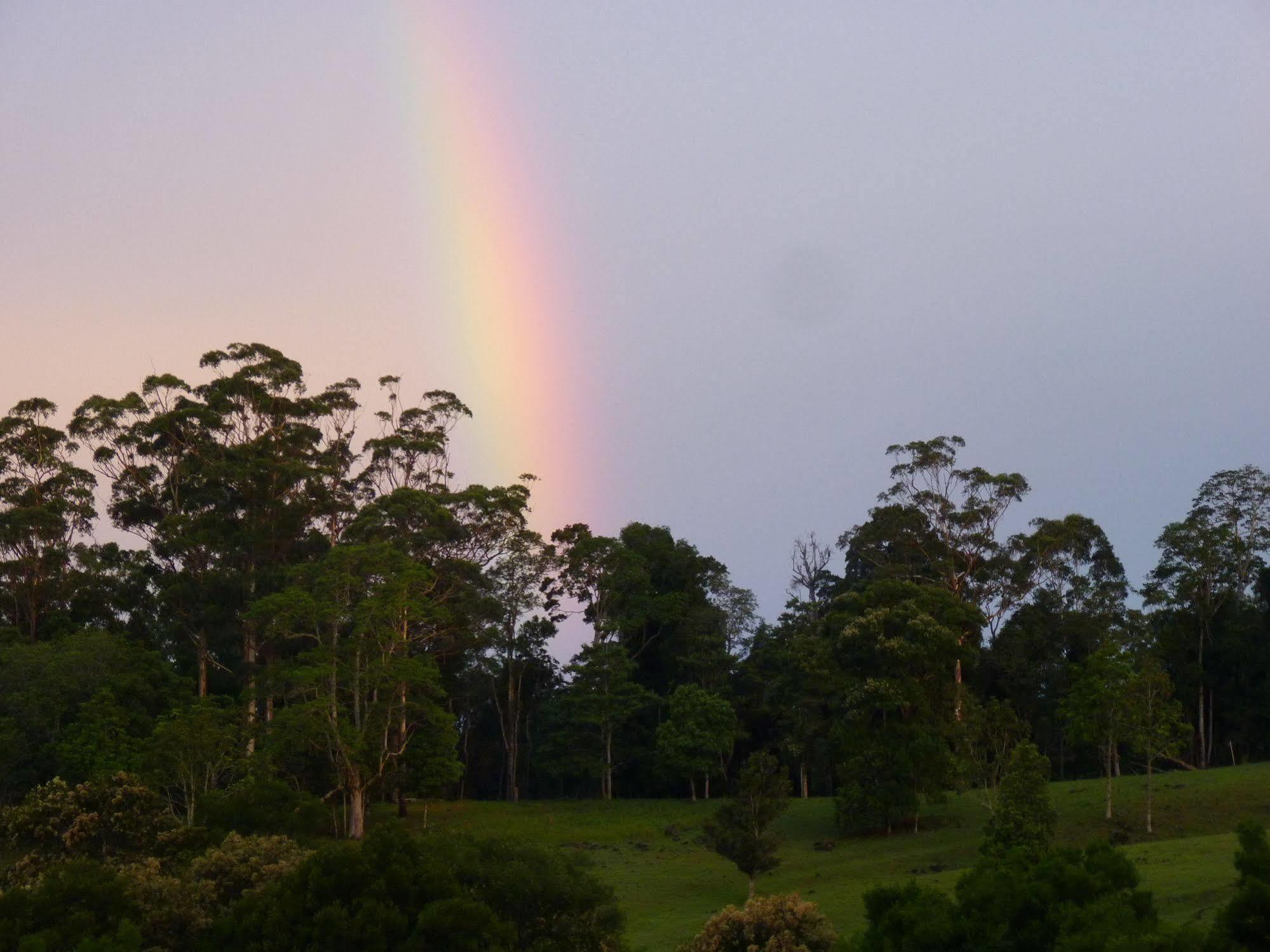 Bellthorpe Stays Maleny Eksteriør billede